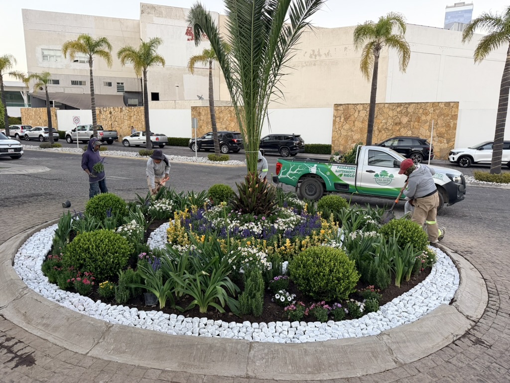Equipo de Crea Jardín trabajando en una jardinera circular