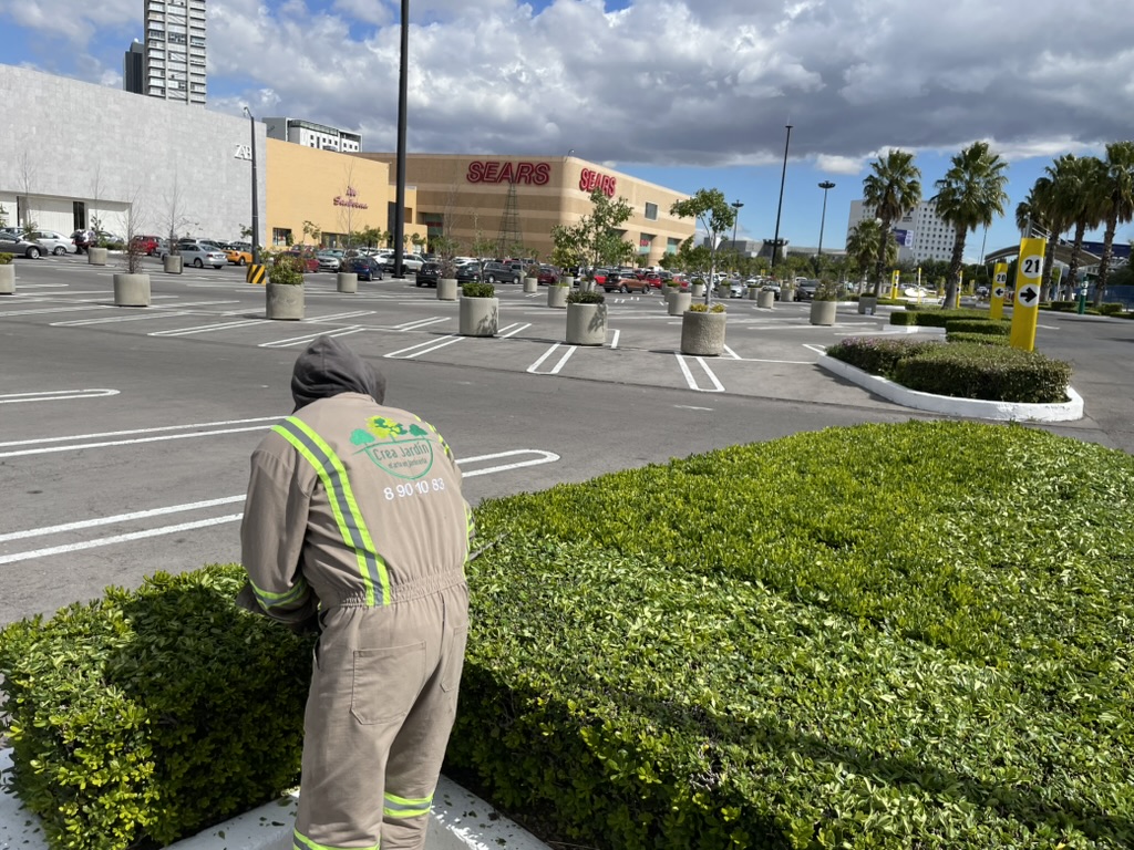 Equipo de Crea Jardín cuidando setos en una plaza comercial